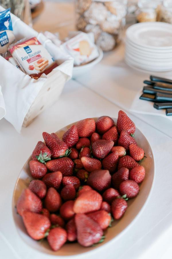 Farm stay Terenzi Hospitality & Wine Scansano
